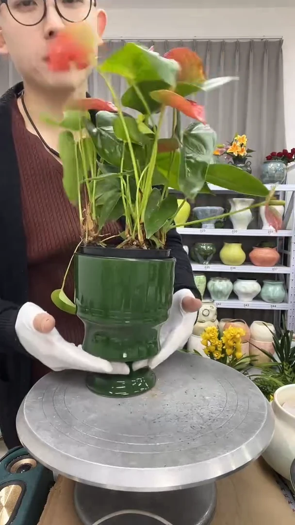 直播链接  高：   17口：12