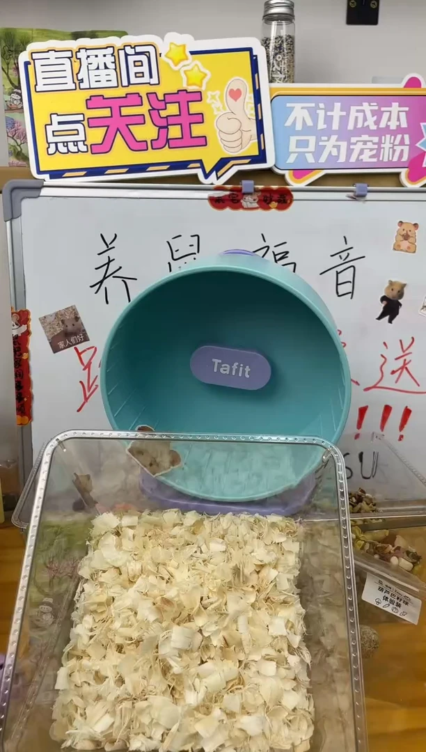 吱树天然东北白杨木刨花