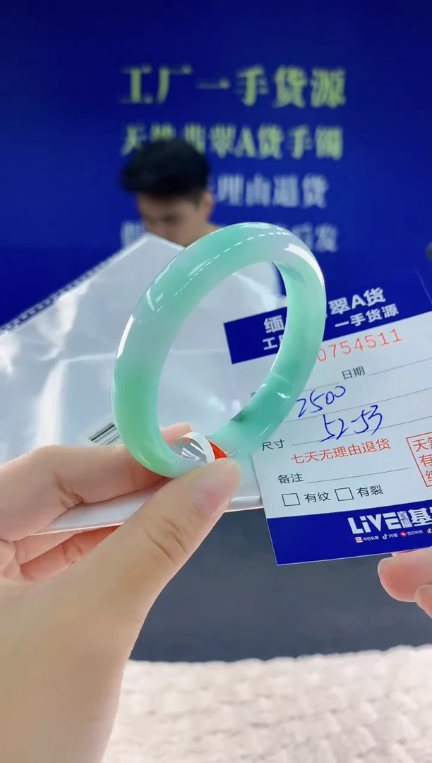 未镶嵌手镯翡翠11