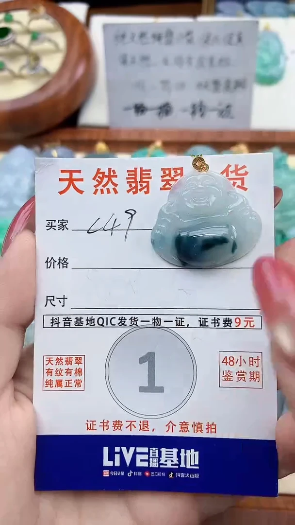 颈饰未镶嵌翡翠天然A货翡翠挂件