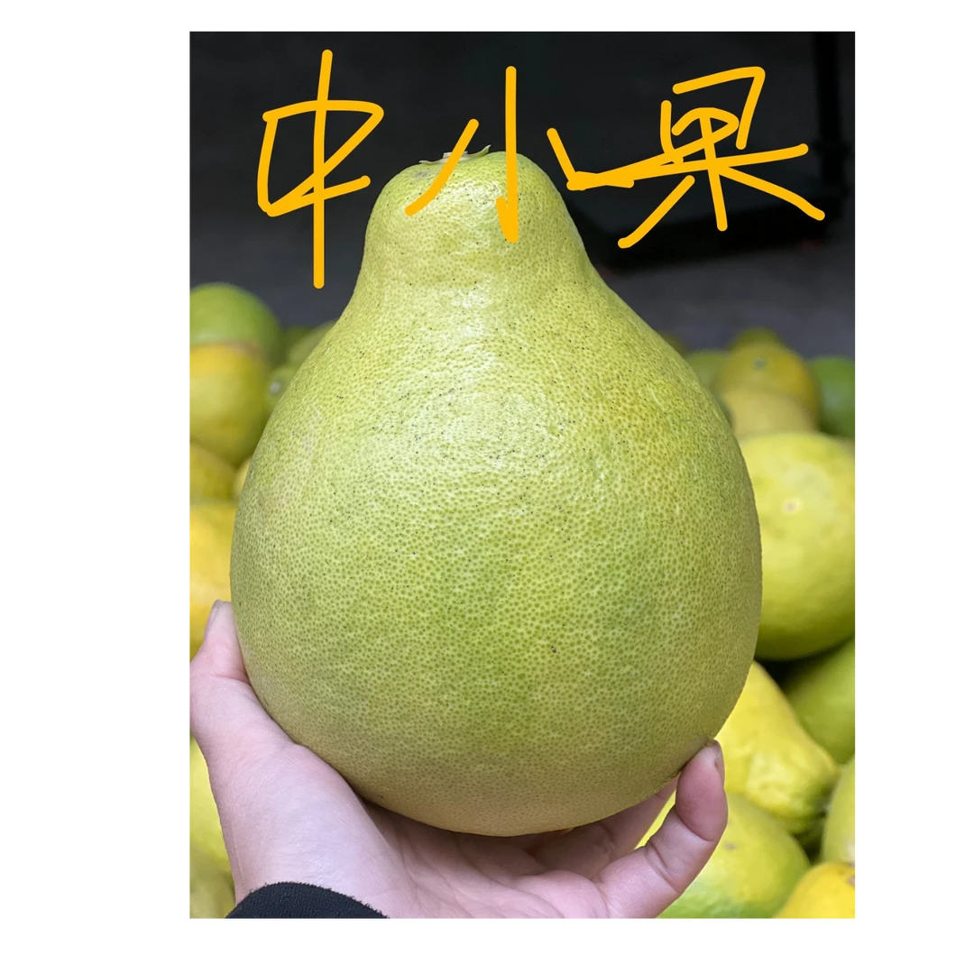 中小果福利款---正宗梅州沙田柚纯甜不酸应季水果果园直发