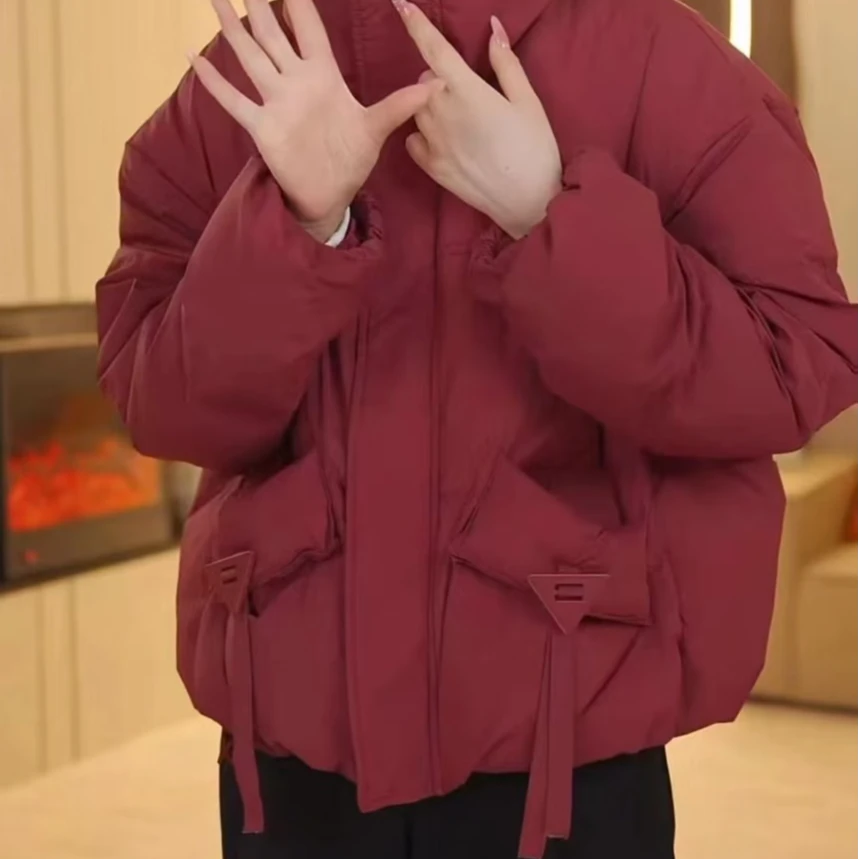 冬季爆款立领短款羽绒服2024新款时尚百搭外套1932