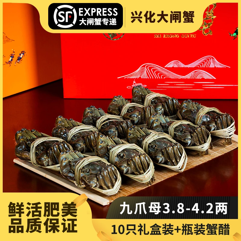兴化大闸蟹母蟹九爪3.8-4.2两10只装活蟹大闸蟹
