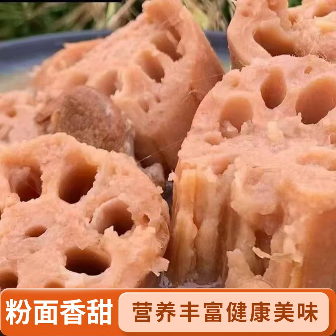 [次日达]本地新鲜现挖莲藕重庆老品种新鲜现挖原生态【拒绝漂白】红花莲藕