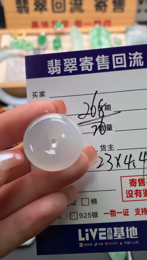 翡翠未镶嵌颈饰10140776