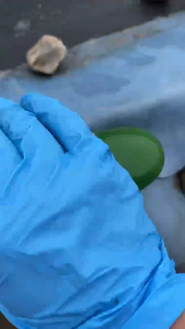 颈饰未镶嵌和田玉（糖玉）知*0022