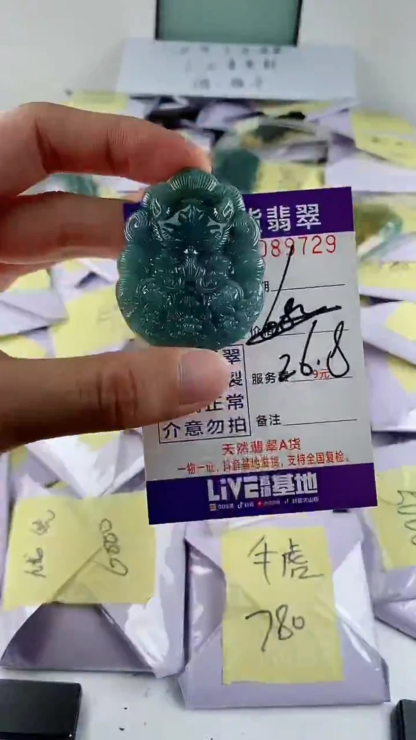 翡翠未镶嵌颈饰