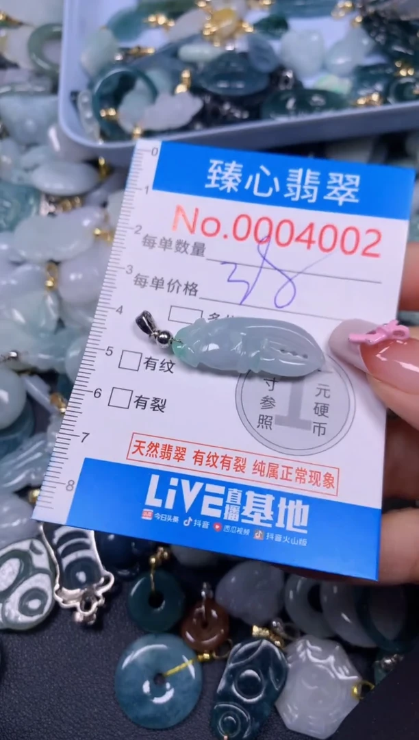 【闪购商品】翡翠颈饰未镶嵌含绳0004002