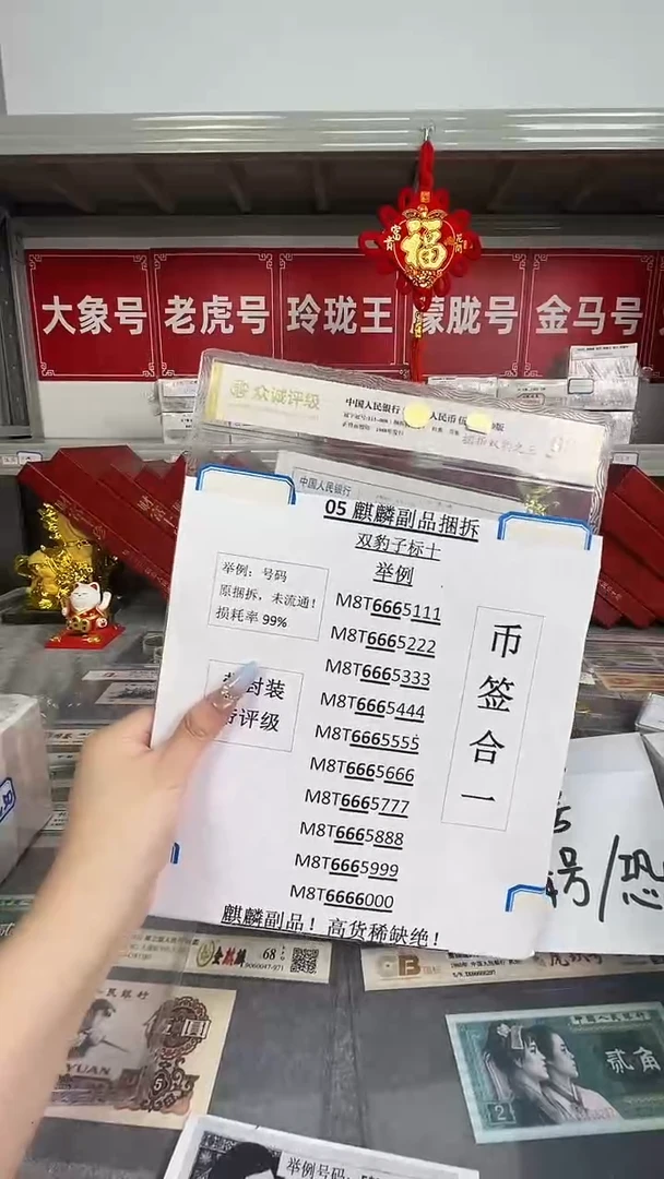 双豹子【捆拆双豹之王】