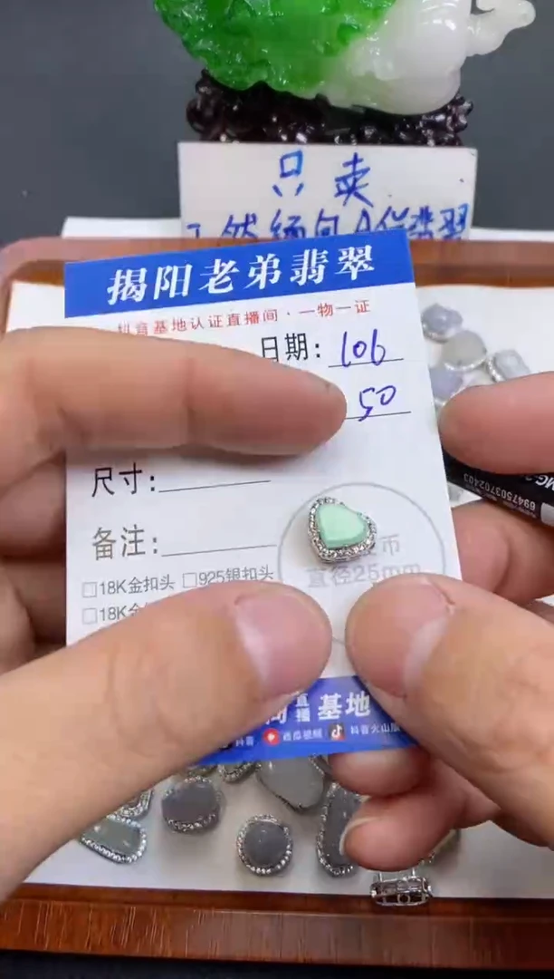 【闪购商品】翡翠颈饰银S925镶嵌多样性发其中一件