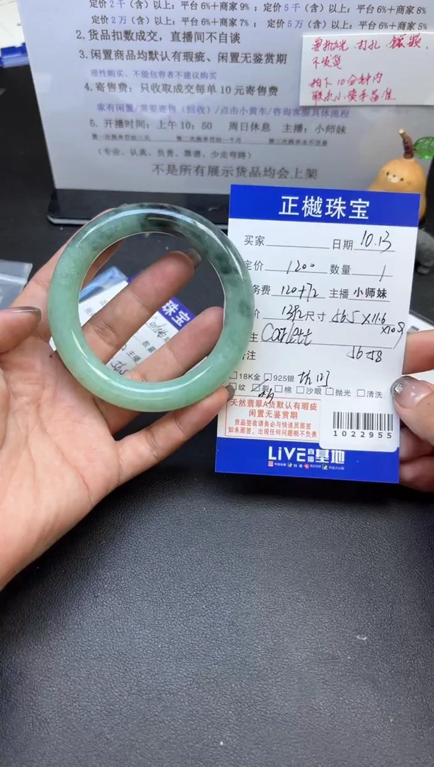 未镶嵌手镯翡翠ZYZB-1022955