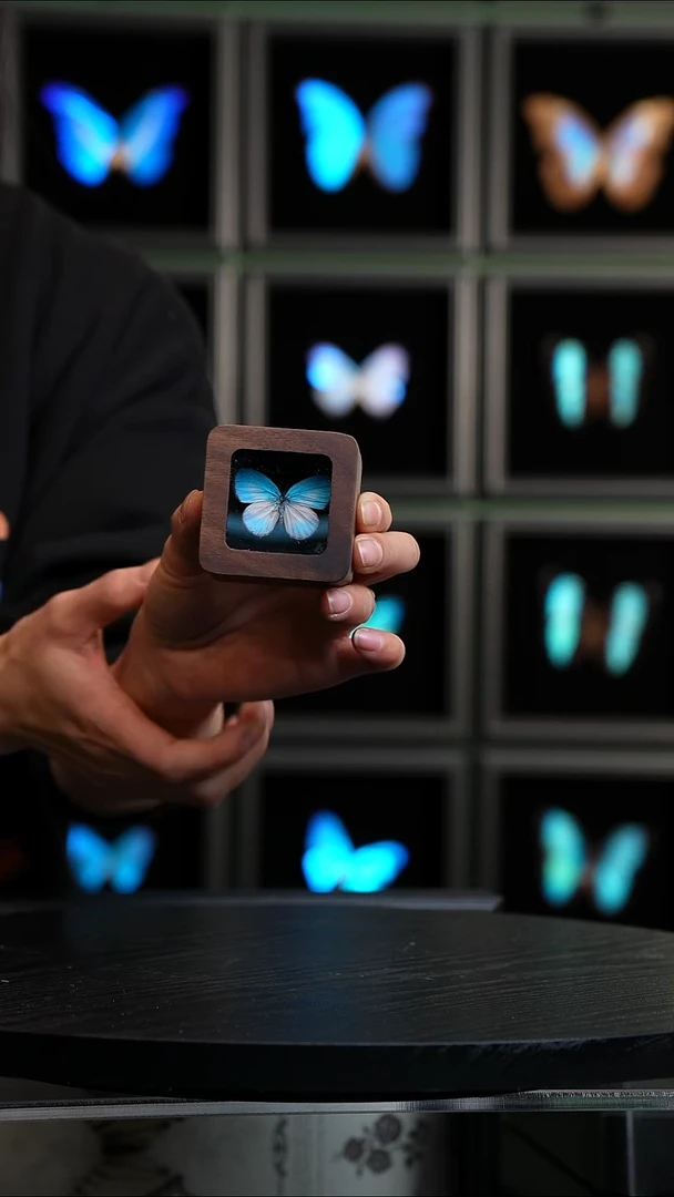 天空蓝优雅灰蝶胡桃木款