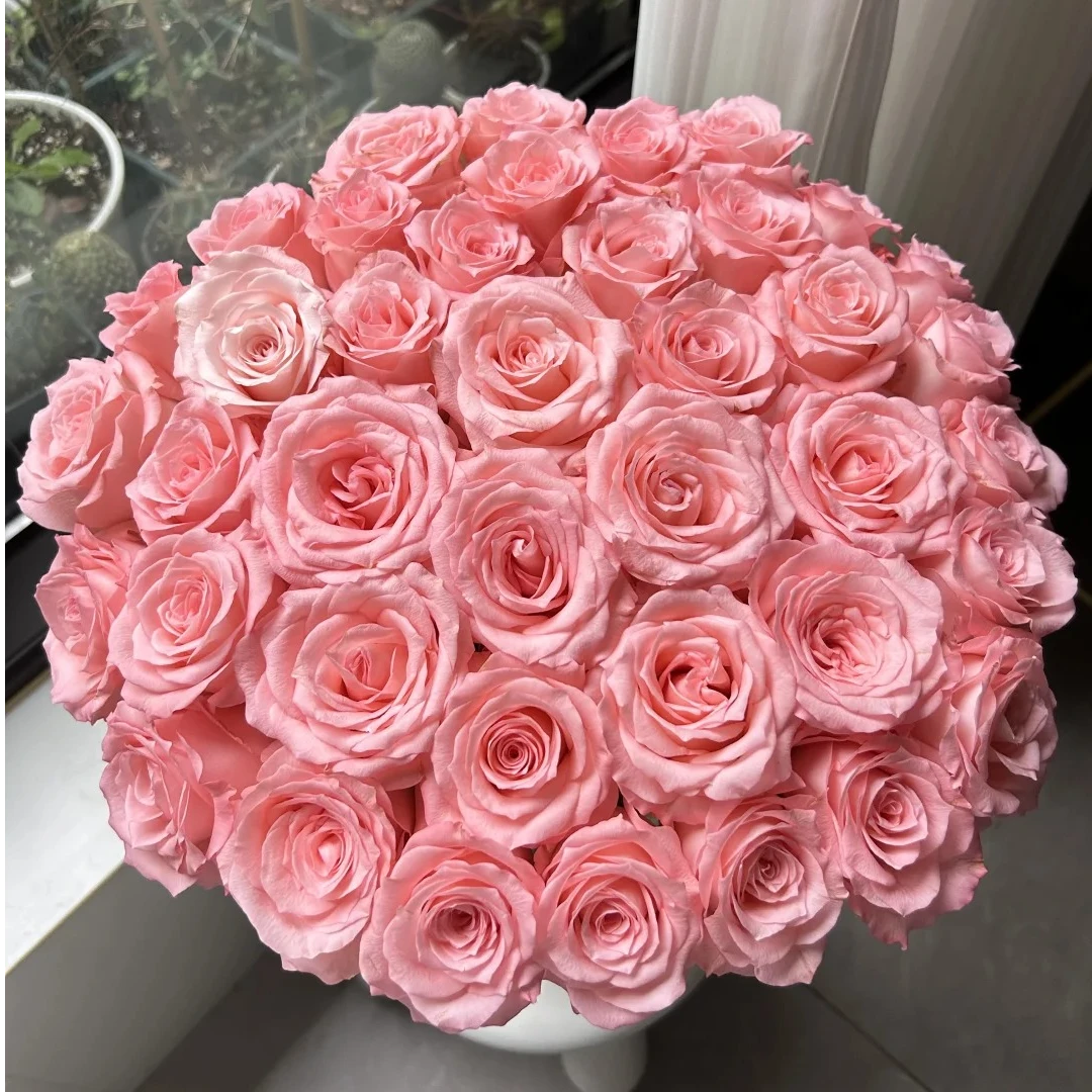 戴安娜 玫瑰 三单京东（偏远ZT空运） 花苞需醒花摘叶 揽收无法退款