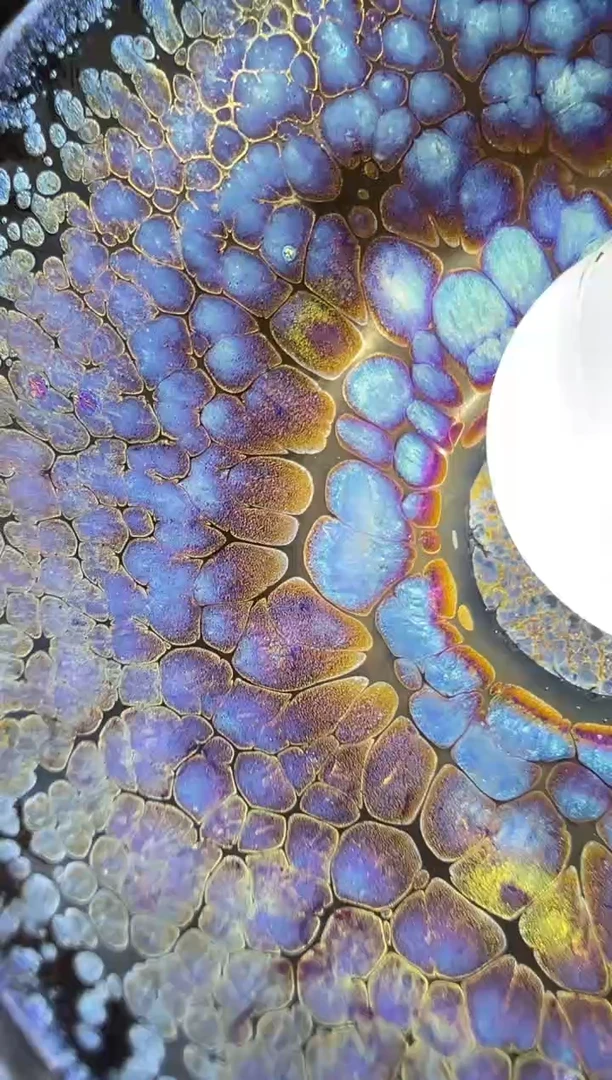 其他赵书全精品分享2