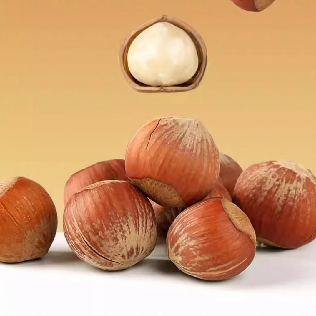 【孙蕊专属】榛子新货新鲜开口零食坚果