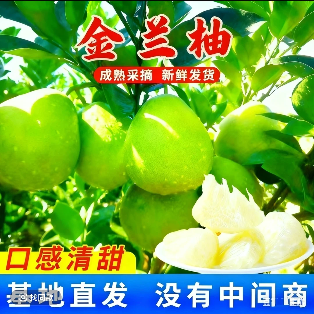 正宗江西金兰柚安福蚕子老树果无酸白心新鲜应季水果萍乡武功山