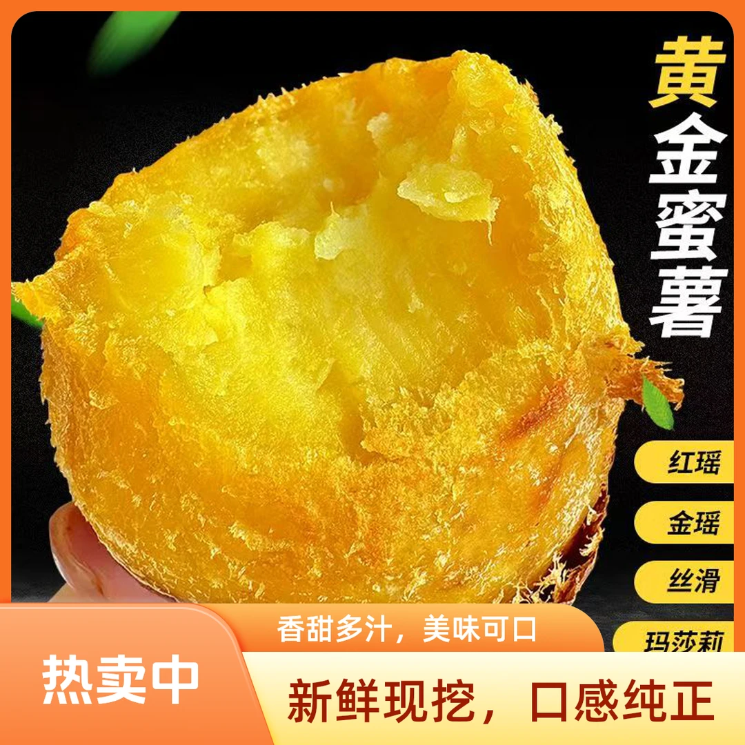 云南高山榴莲蜜薯红薯胖胖薯圆果现挖