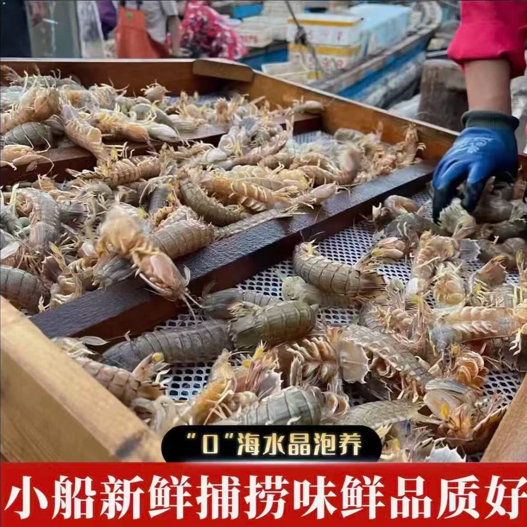 4斤海捕皮皮虾中号虾婆(虾爬子)新鲜熟冻发货顺丰包邮