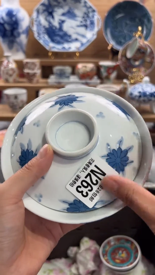 瓷片若*       N263