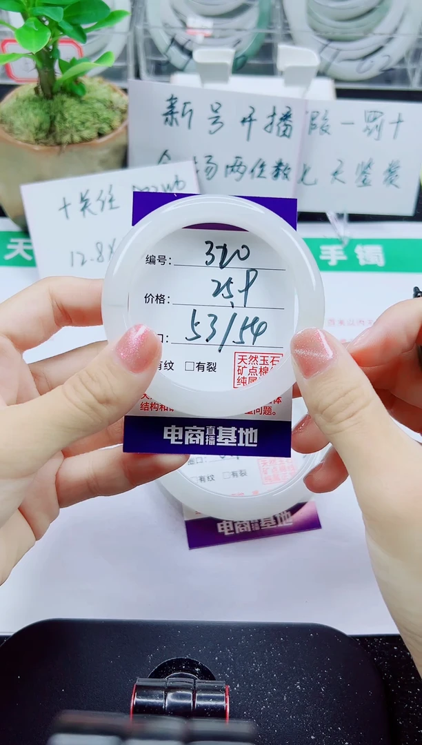 未镶嵌手镯石英质玉320-53/54
