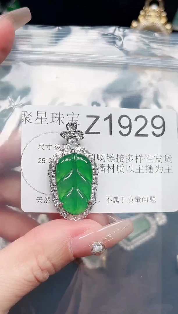 【闪购商品】翡翠颈饰未镶嵌赠皮绳1929