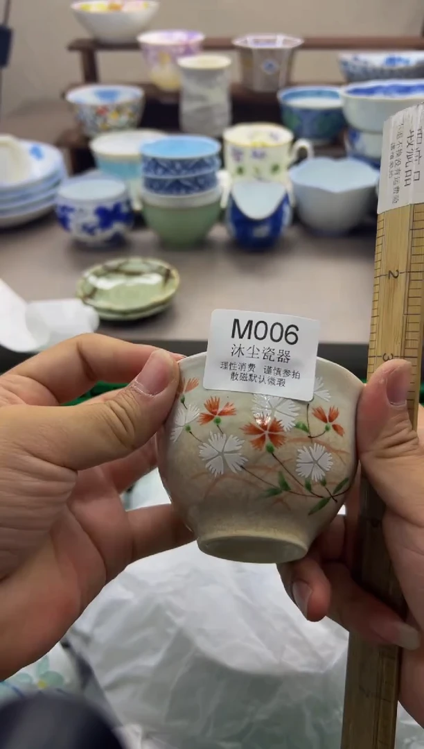 瓷片          M006