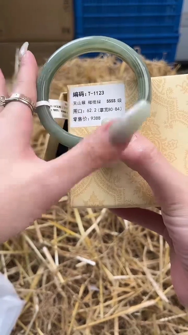 未镶嵌手镯石英质玉T-1123