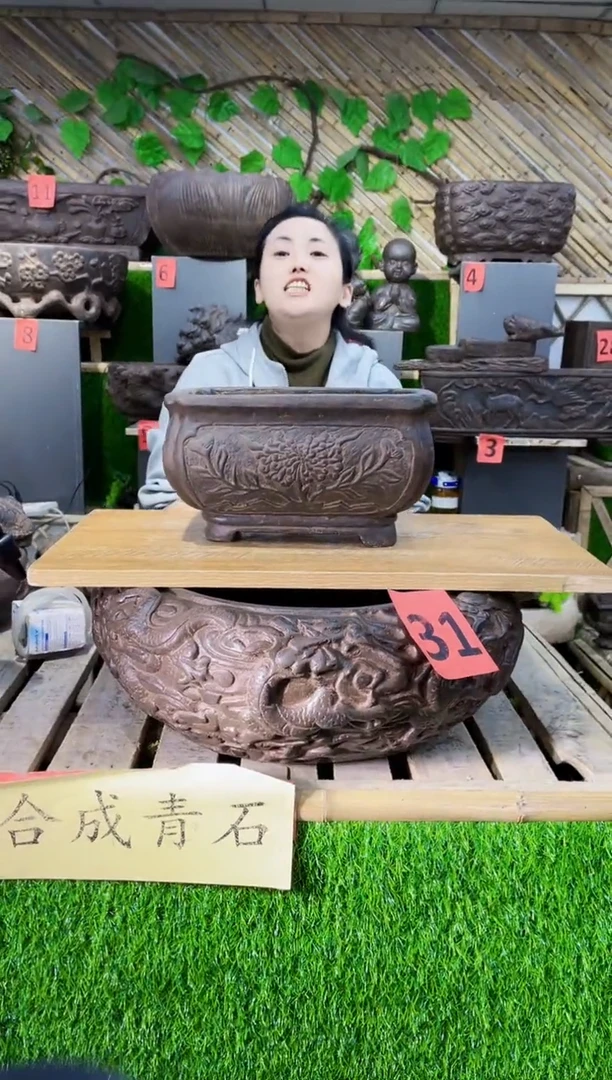 【闪购商品】复合盆sf-1006