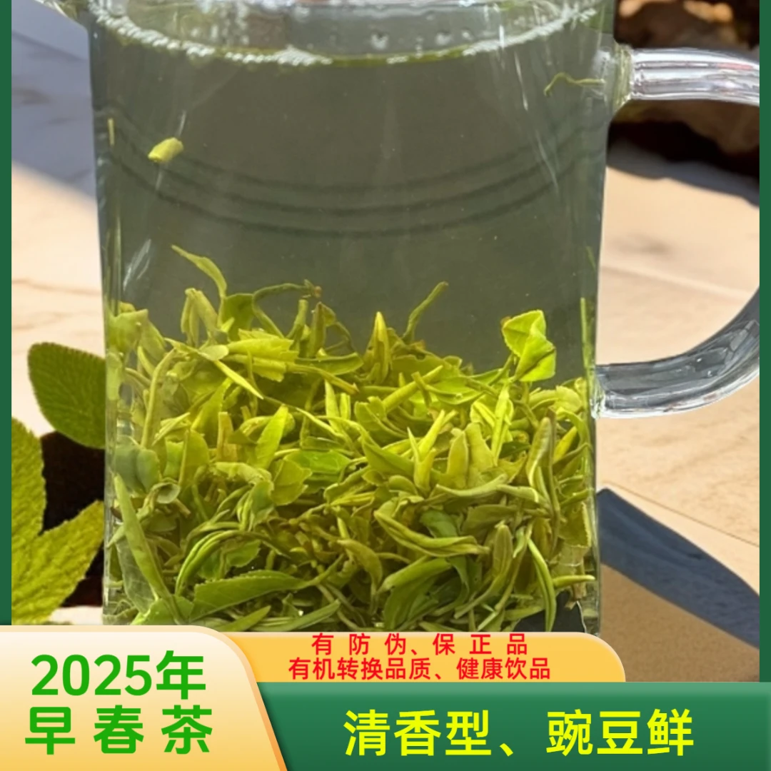 日照绿茶 礼盒装【率先推出《日照绿茶防伪溯源专用标识》正品保障】