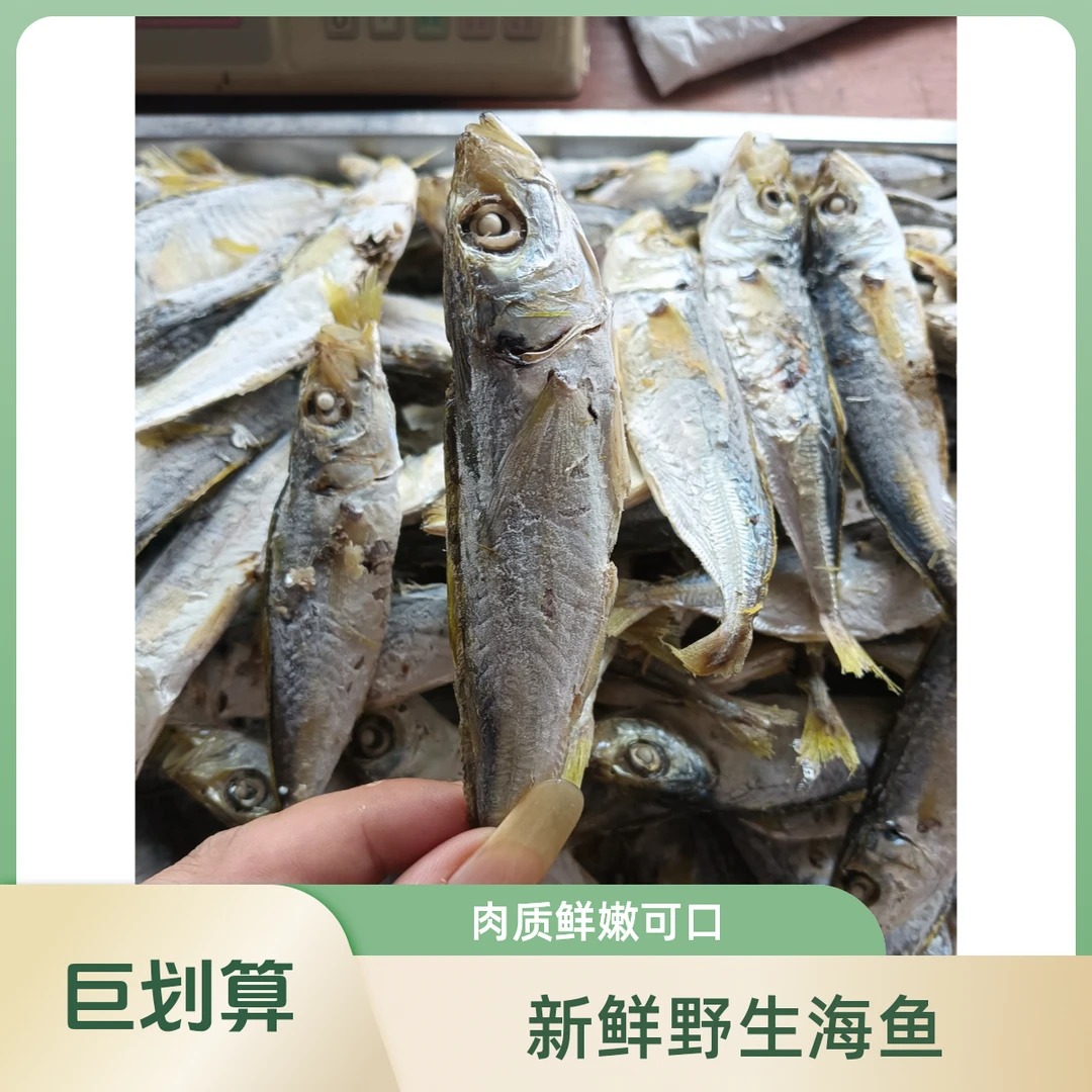 （尾姐推荐）闽南特产黄尾巴浪鱼干