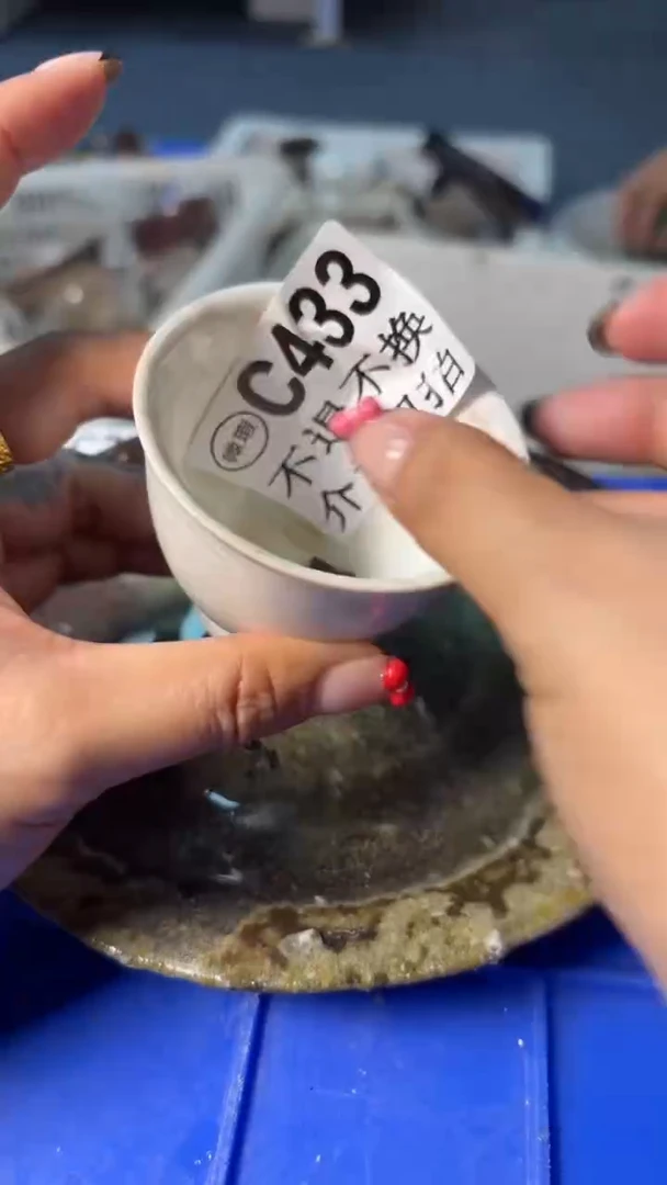 小龙堂不退不换433