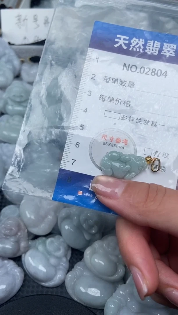 颈饰未镶嵌翡翠纯天然A货翡翠2804