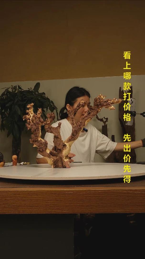 木湛****妞金丝红木006