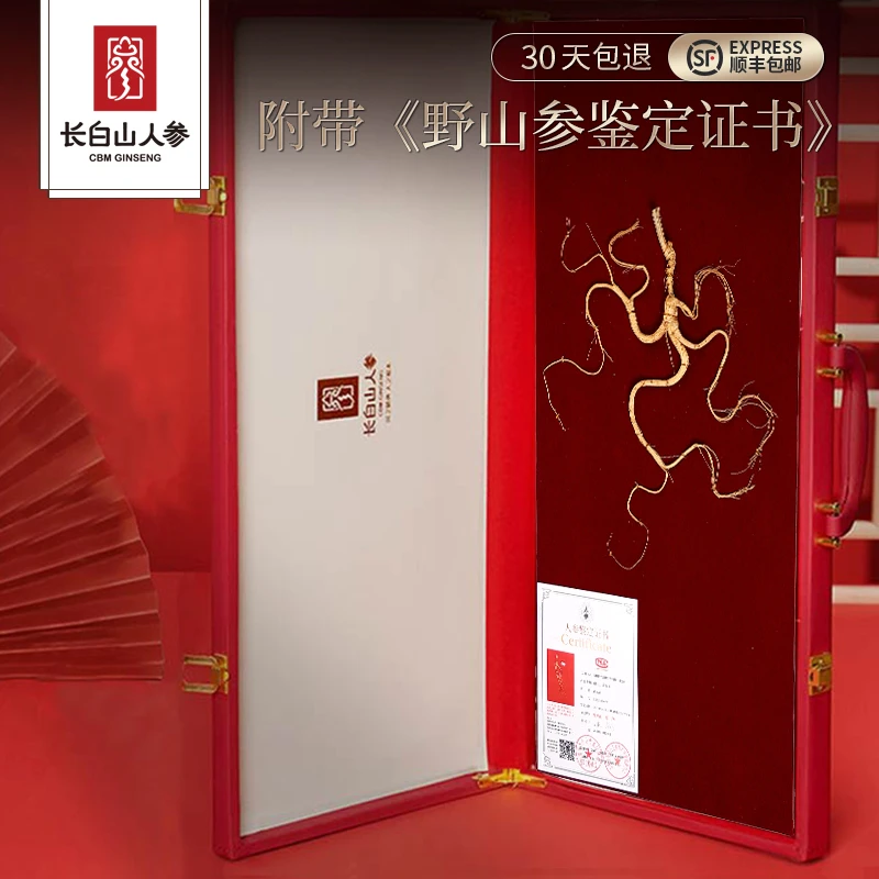 长白山人参野山参礼盒带证书单支礼盒A6