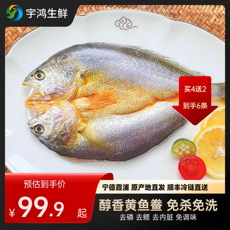 海水大黄鱼拍4送2 到手六条 霞浦黄鱼鲞200g-250g