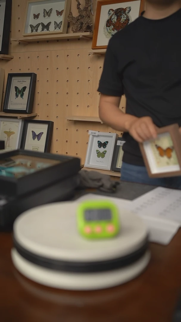 有机玻璃拟晶眼蝶