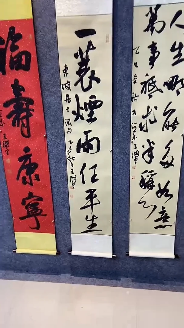 书法行书书法作品 纯手写 一蓑烟雨任平生