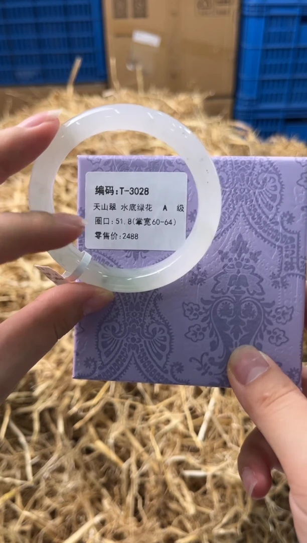 未镶嵌手镯石英质玉T3028