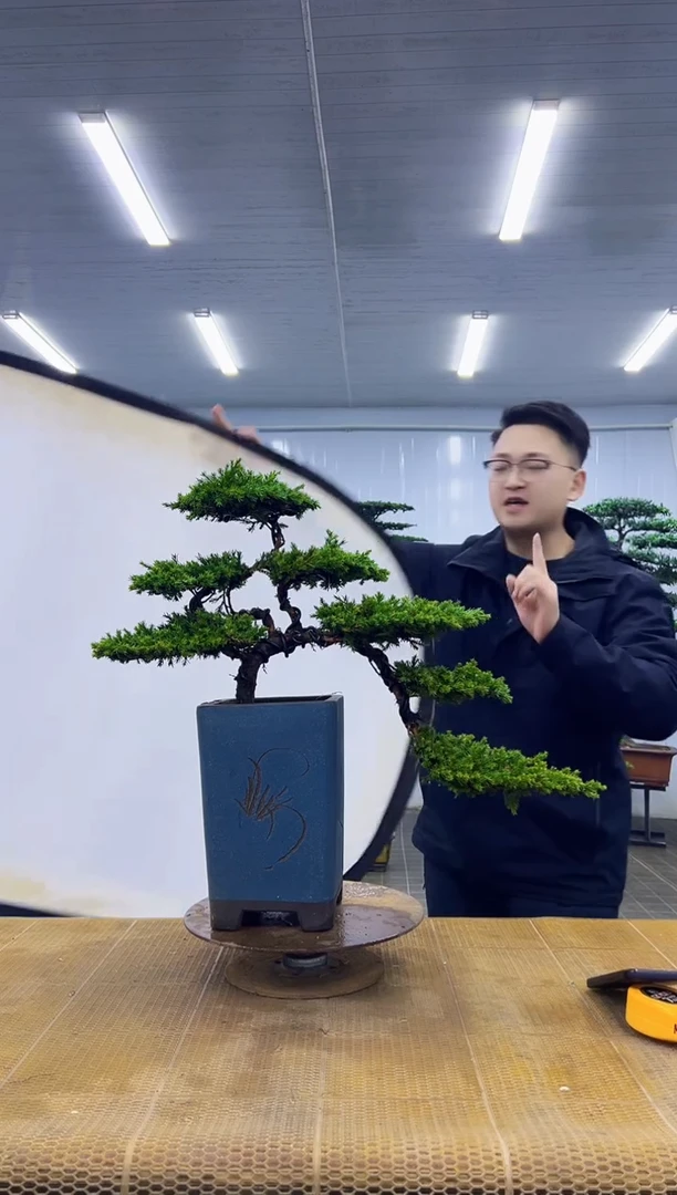 无花朵0000000000000000000