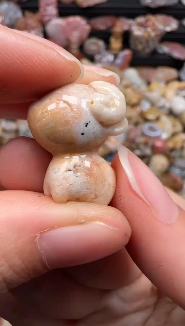 【闪购商品】硅化珊瑚（珊瑚玉）颈饰未镶嵌149