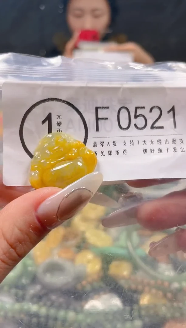 【闪购商品】翡翠颈饰未镶嵌/F/翡翠A货一图一物