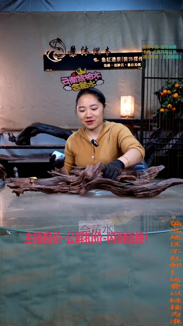 沉**金景沐沉木A859 55长