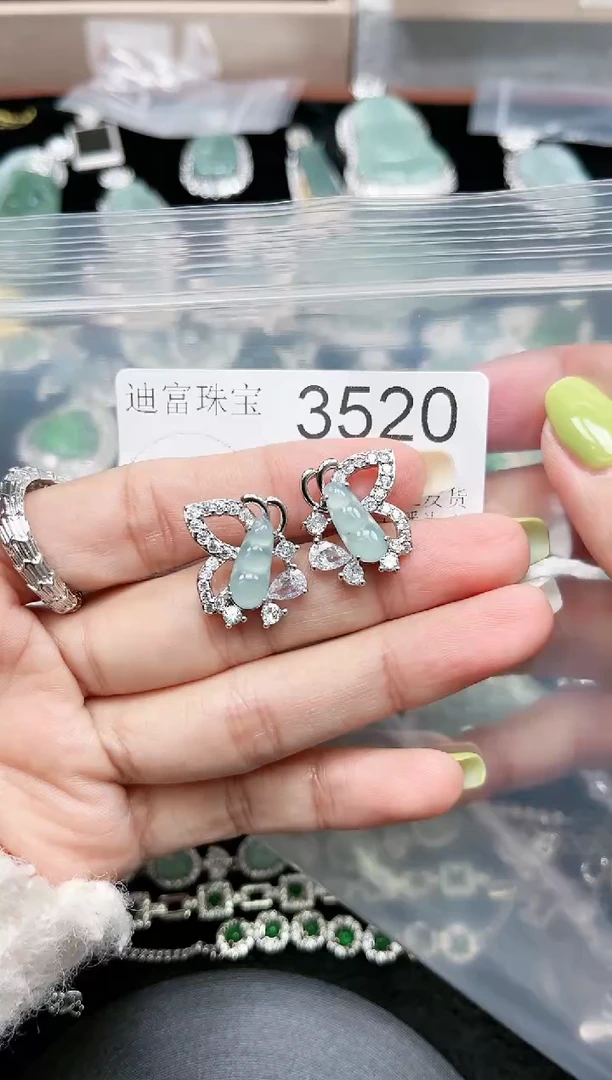 【闪购商品】翡翠颈饰未镶嵌赠皮绳3520