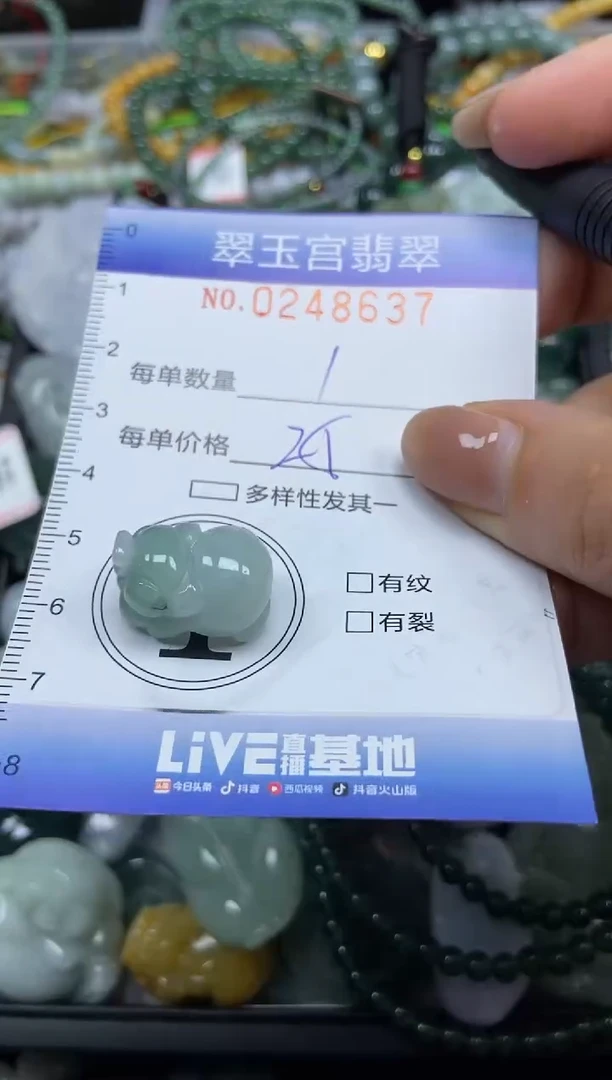 颈饰未镶嵌翡翠闪购C0248637