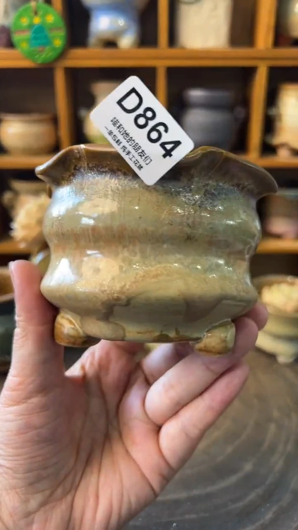 864 内口8【多肉花盆多肉盆】