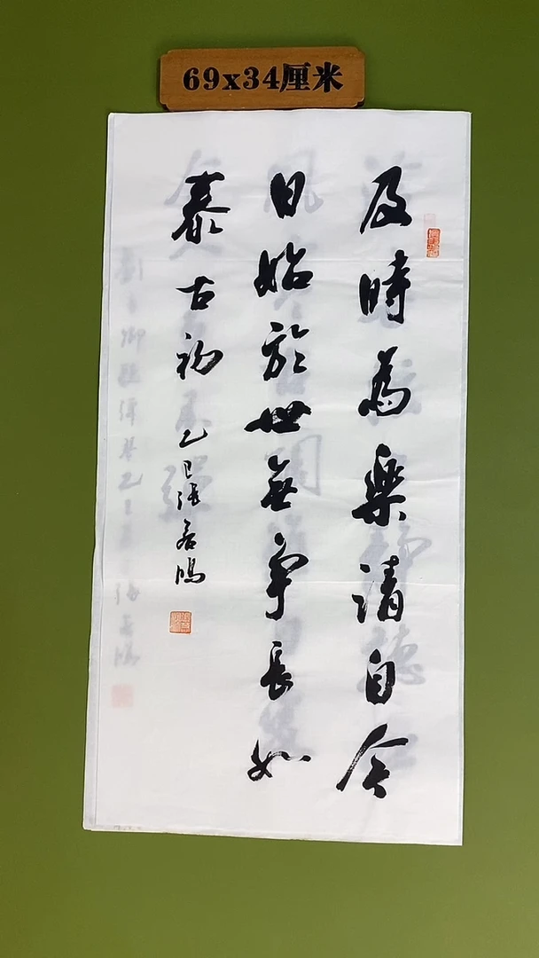 书法书法 张若鸿 尺寸69cm*34cm