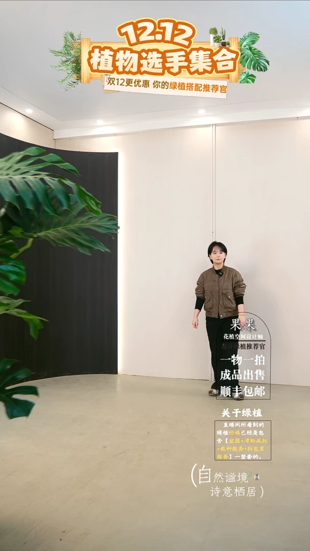 无花朵?**n大老桩龟背竹连盆种好栽好一整套送货上门