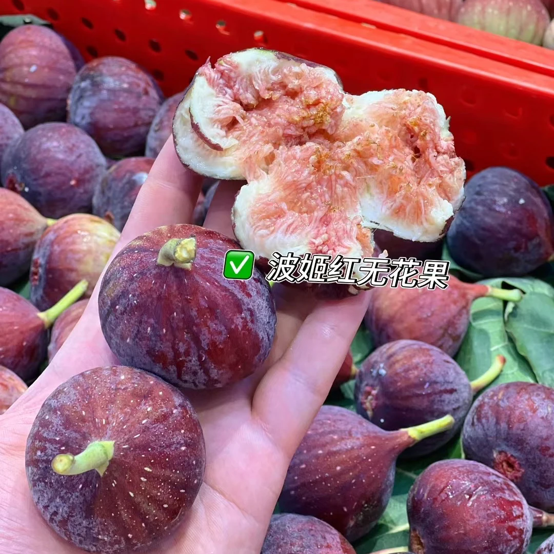 波姬红无花果 16.8元/斤