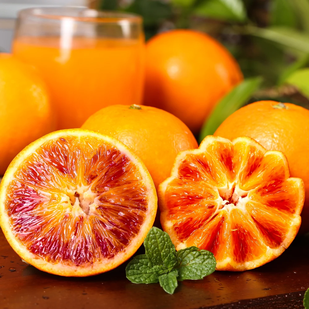 玫瑰香橙5斤装新鲜多汁