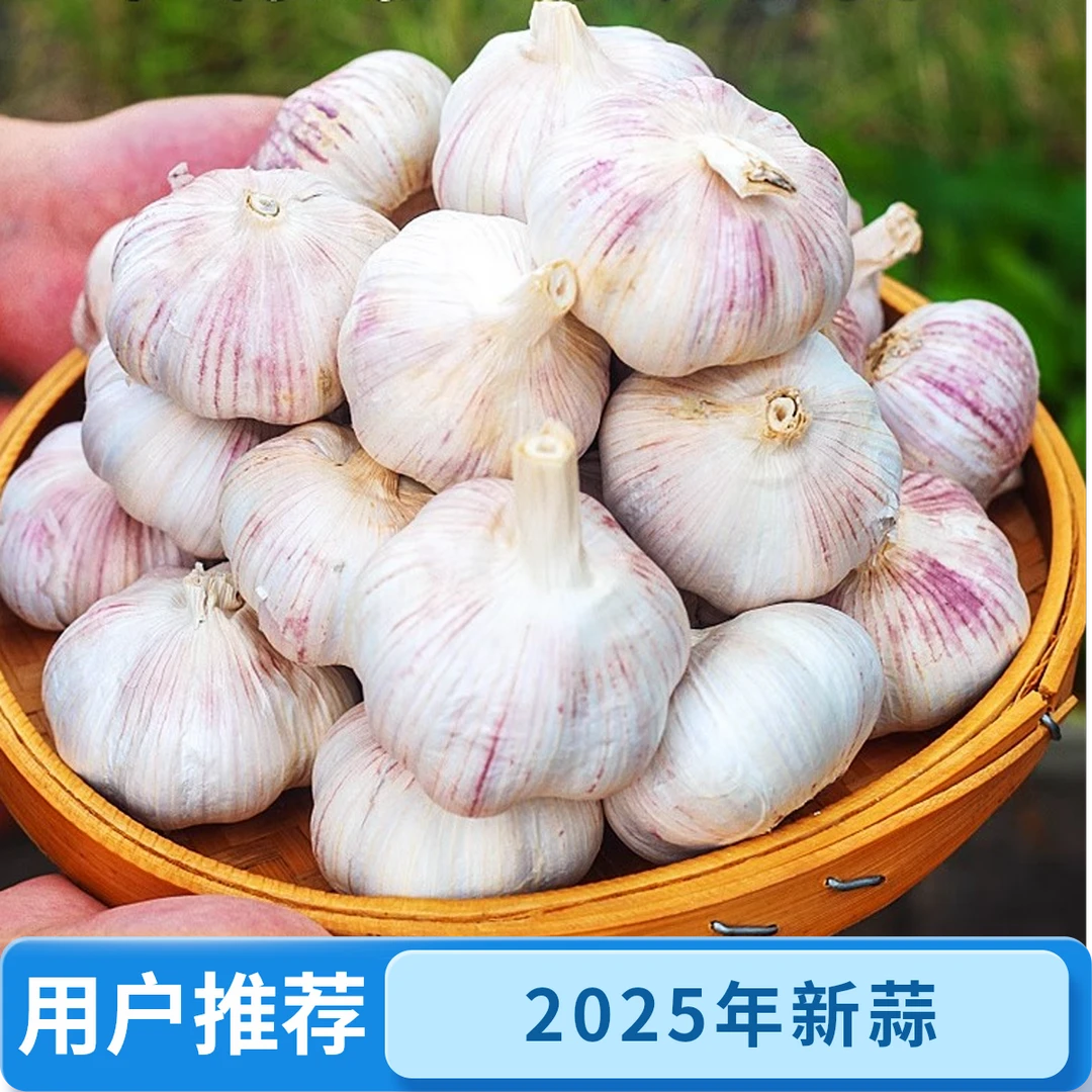 农家紫白皮干大蒜头辛辣鲜香特产9斤净重